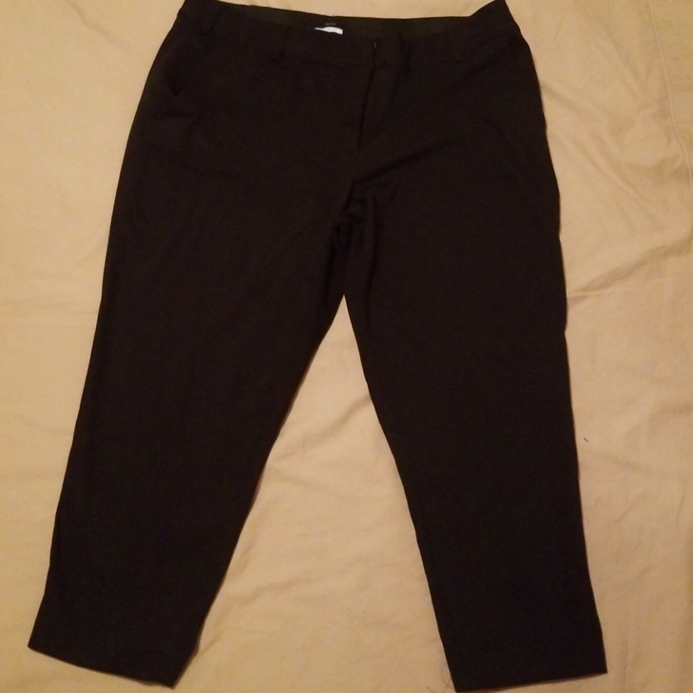 Lane Bryant The Lena The modernist collection. Siz